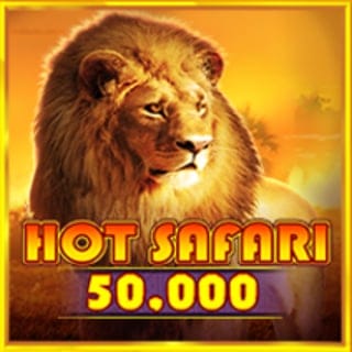 Hot Safari 50,000 screenshot