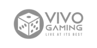 Visa logo